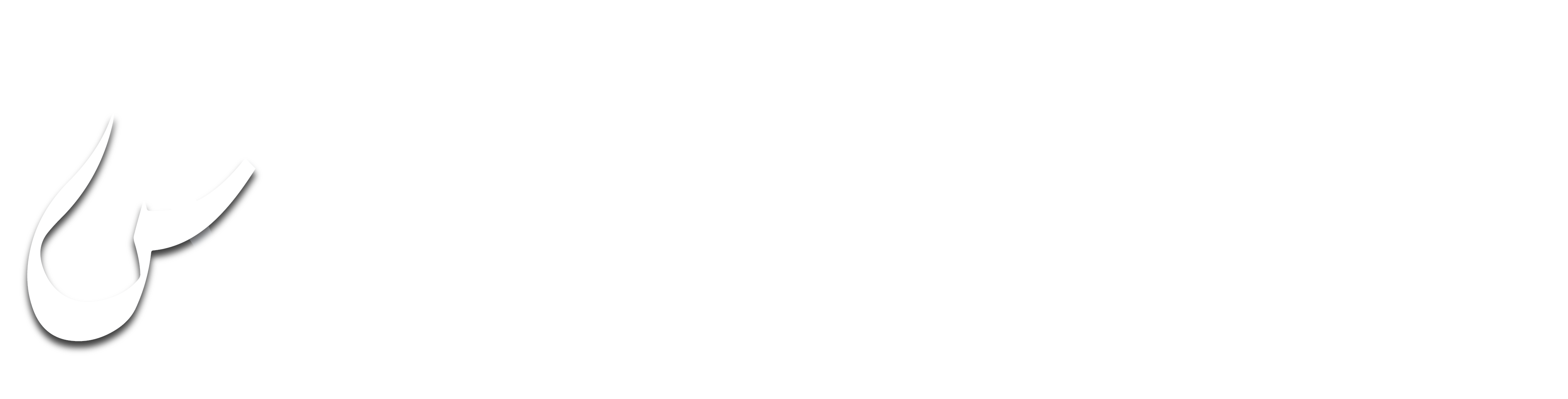 logo-img